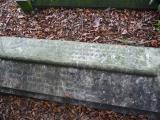 image of grave number 199493